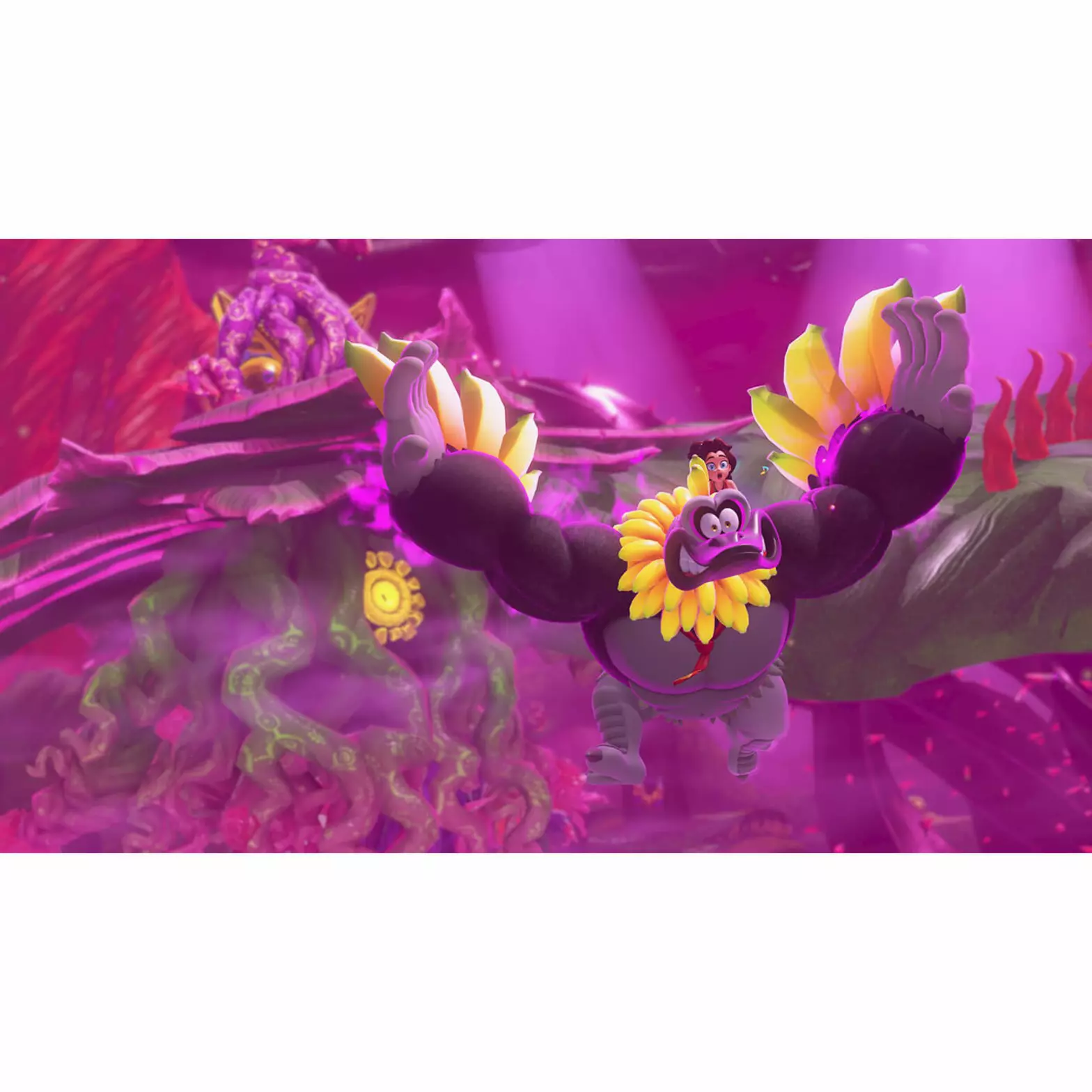 8ff0f5c1742c75893cd2678ed2c2ead8aba8f13d