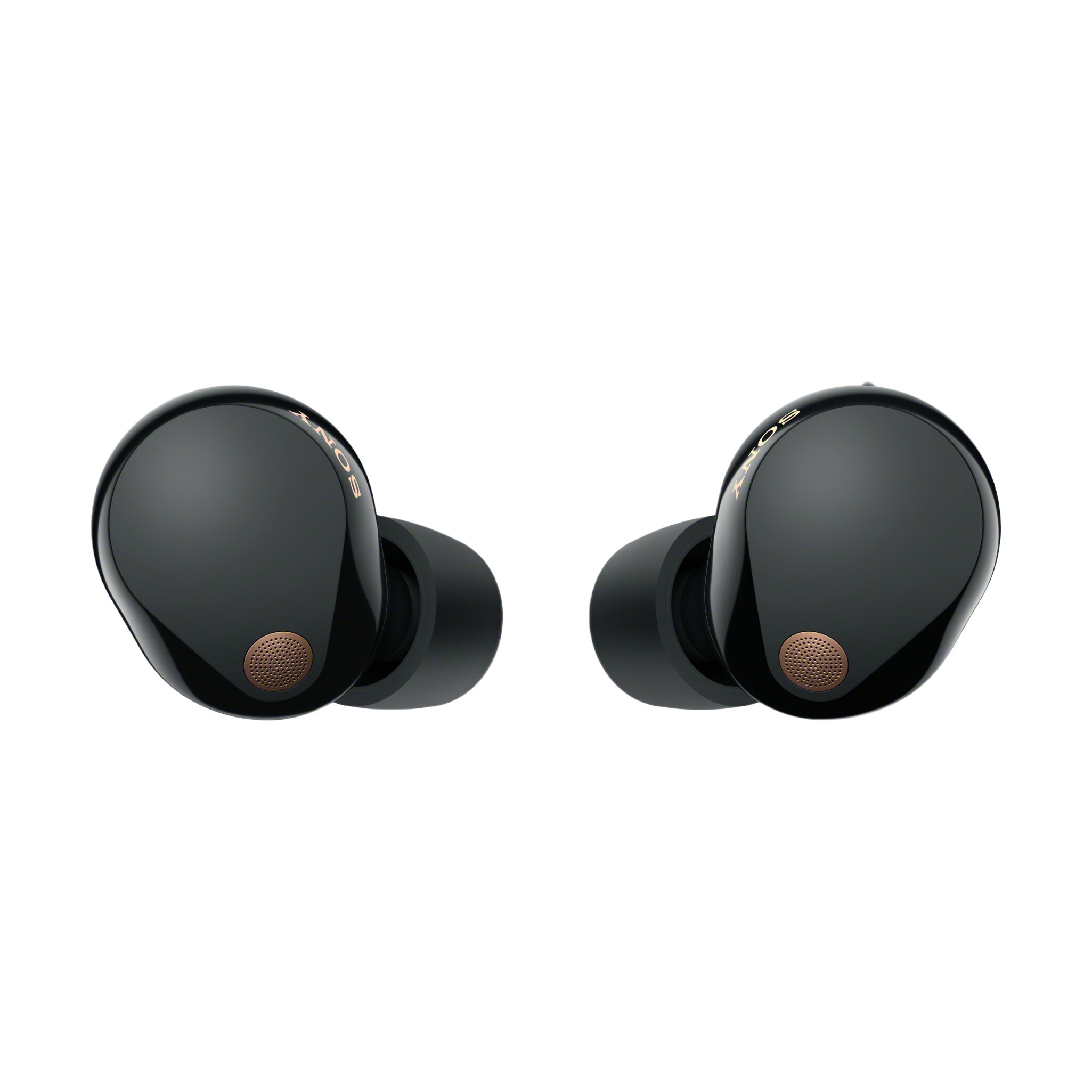 Sony WF1000XM5 True Wireless Earbuds | EE