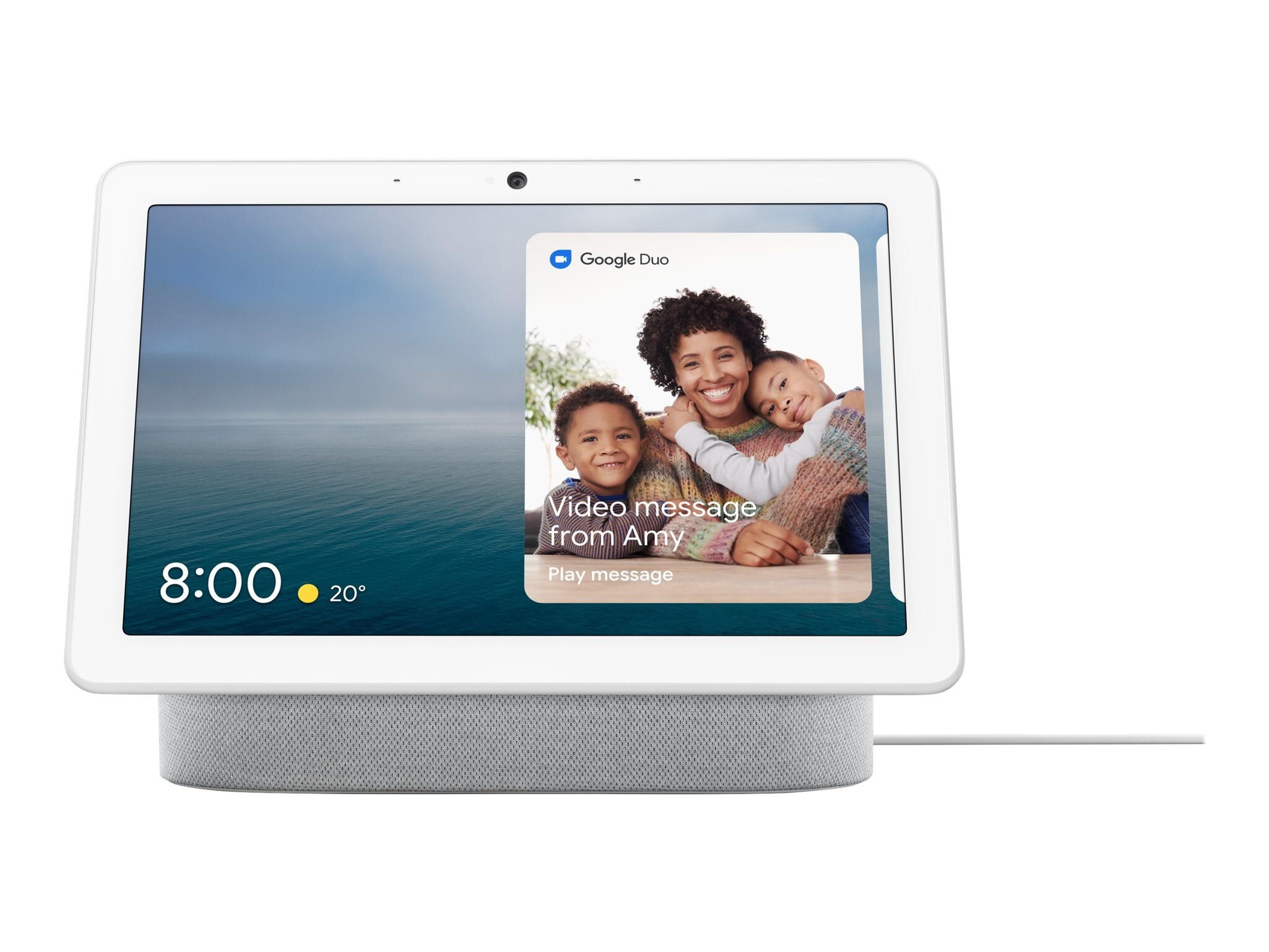 Google home hub store with google home