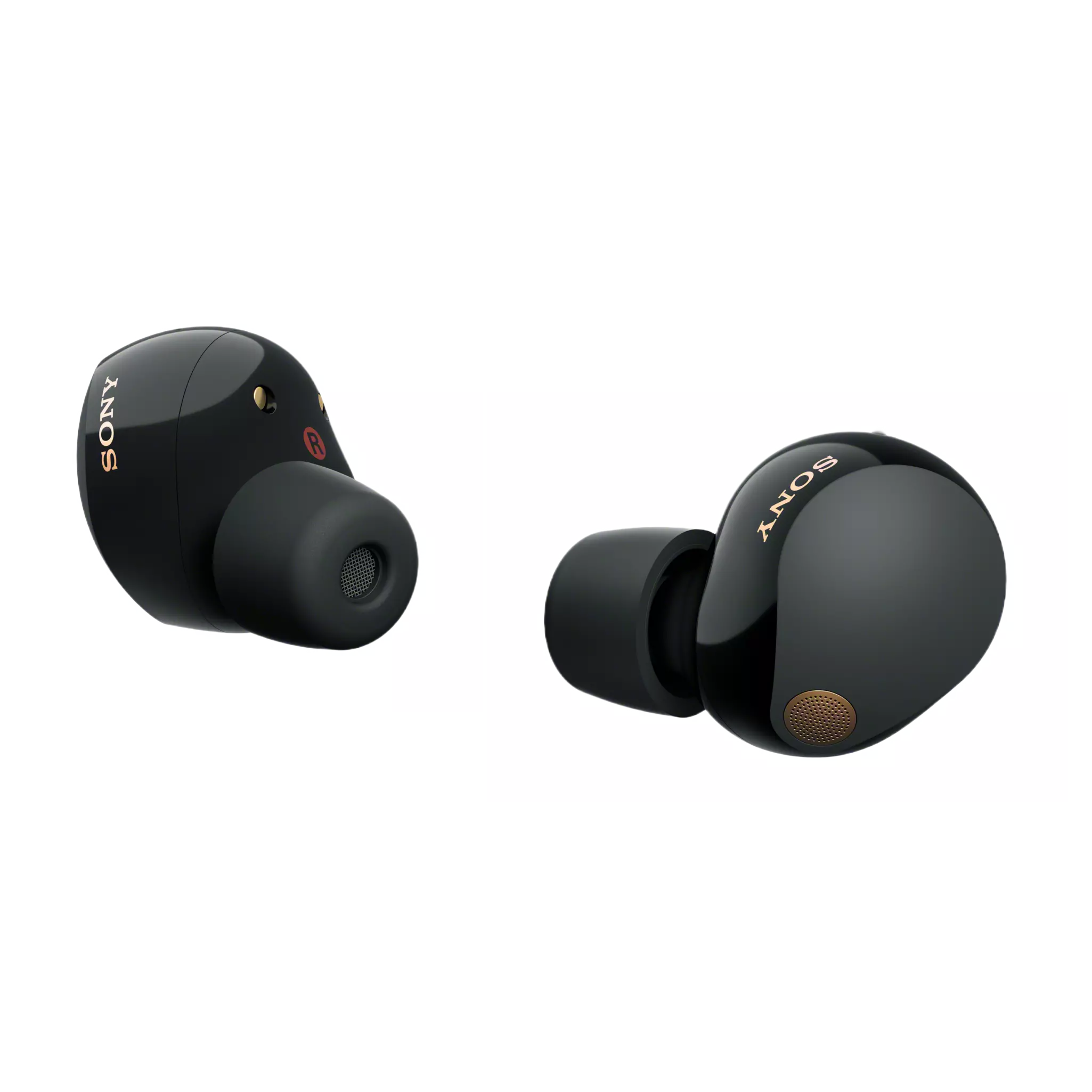 Sony WF1000XM5 True Wireless Earbuds | EE