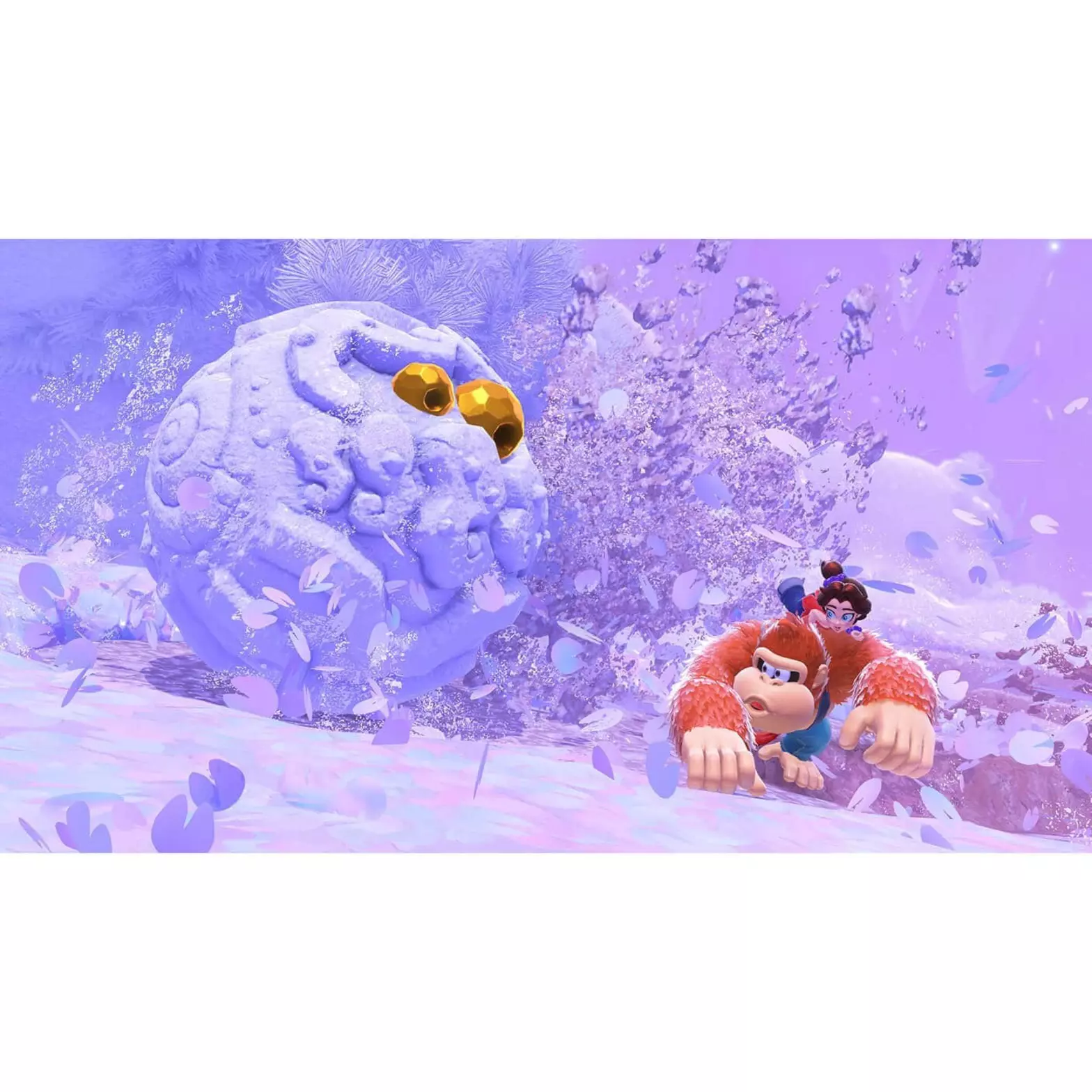 d2b9169dd95cf161ea23362dbac425c3d3a7d253